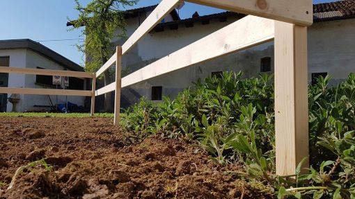 A Cervere è tempo di porri, nell'orto A Cervere è tempo di porri, nell'orto