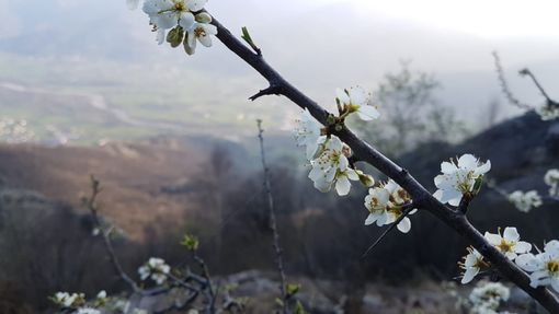 Sole e bel tempo nel ponte della Liberazione: si attendono piogge domenica Sole e bel tempo nel ponte della Liberazione: si attendono piogge domenica
