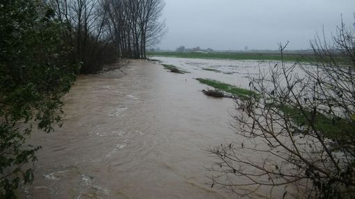 La pioggia regala una boccata d'ossigeno all'agricoltura in Granda. Ma il quadro complessivo resta drammatico