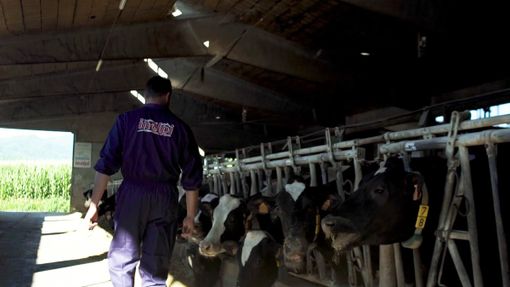 Protesta agricoltori, Inalpi: “Necessario individuare i veri obiettivi di questa protesta, ma anche cogliere gli elementi di sostegno”