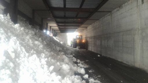 Foto dalla pagina Facebook di Andrea Cismondi