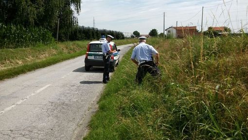 Immagine di repertorio Immagine di repertorio