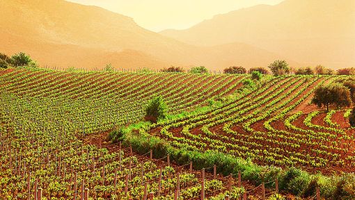 Nuovo PSR: possibili aperture di bandi a breve