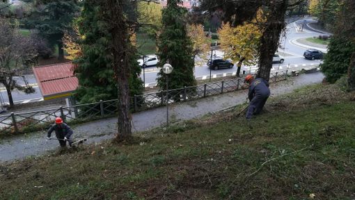 I Volontari Protezione Civile Ana hanno ripulito l’area dello scalone a Mondovì I Volontari Protezione Civile Ana hanno ripulito l’area dello scalone a Mondovì