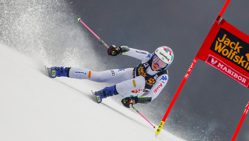 (foto facciotti - repertorio) (foto facciotti - repertorio)