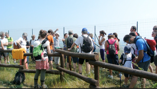 "Sorgenti in pericolo" "Sorgenti in pericolo"