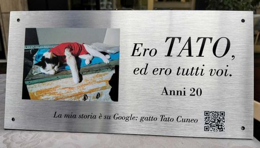 Dal Parco Safari delle Langhe di Murazzano una targa per Tato, il gatto che fece discutere l'Italia Dal Parco Safari delle Langhe di Murazzano una targa per Tato, il gatto che fece discutere l'Italia