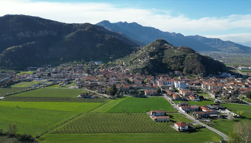 La bellezza della terra che ci regala gli Asparagi dolci di Revello #VIDEO