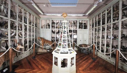 Laboratorio di creatività per i più piccini al Museo Craveri di Bra