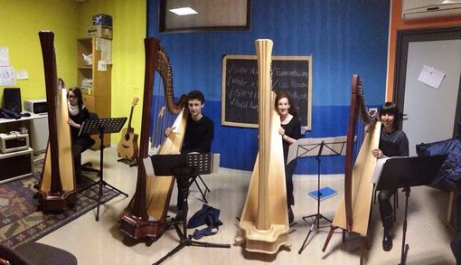 L’ Orchestra di arpe Futura a Frabosa Sottana per il “Concerto di Natale” L’ Orchestra di arpe Futura a Frabosa Sottana per il “Concerto di Natale”