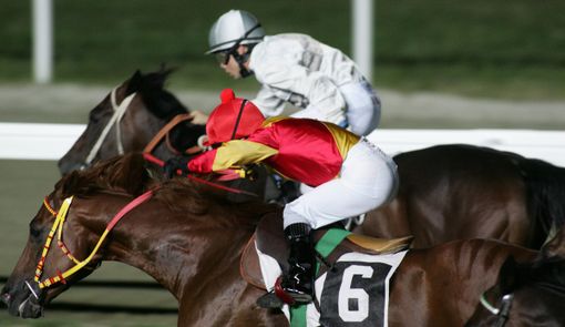 Un fine settimana diverso: scegli Varese con il “Gran Premio” dedicato all'ippica e le sue tante mostre e attrazioni