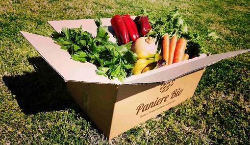 Settore alimentare: boom di ricerche di frutta e verdura online