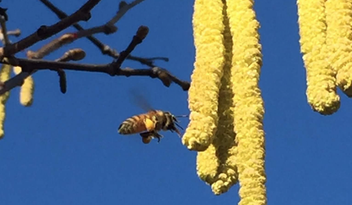 Immagine di repertorio