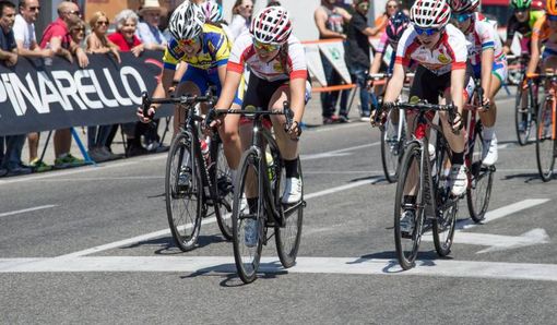 corino e vitillo in azione -foto nespoli corino e vitillo in azione -foto nespoli
