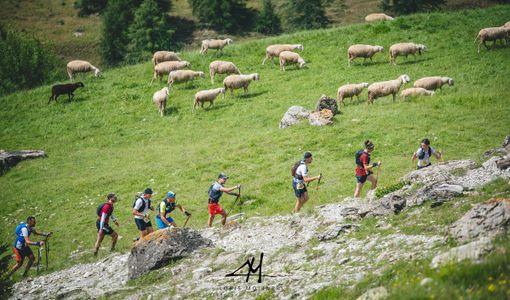 Sport, cultura e territorio: manca poco alla seconda edizione della Valle Stura Skyrace Sport, cultura e territorio: manca poco alla seconda edizione della Valle Stura Skyrace