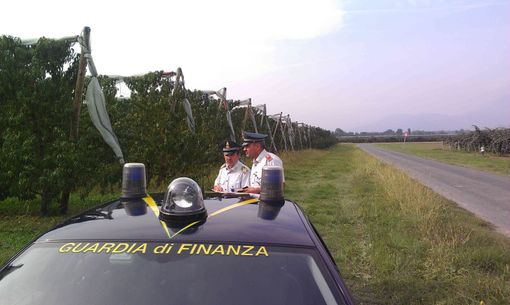 Guardia di Finanza: interventi a contrasto del lavoro nero