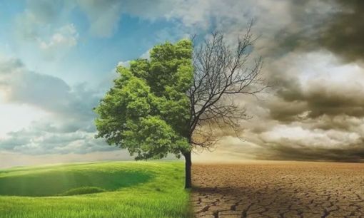 Verduno ed Alba accolgono due importanti appuntamenti dedicati a salute e benessere nella terza e quarta età Verduno ed Alba accolgono due importanti appuntamenti dedicati a salute e benessere nella terza e quarta età