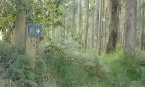 Mancano 19Km a Santiago, la meta è sempre più vicina