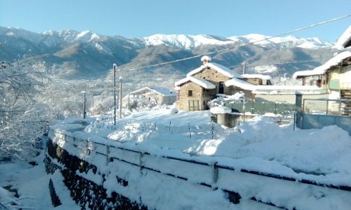 Rifreddo sotto la neve Rifreddo sotto la neve