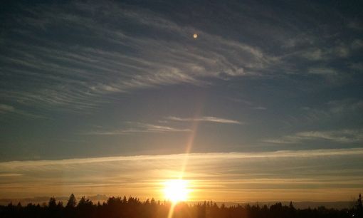 Settimana dal sapore tardo primaverile, con temperature massime fino a 25 gradi