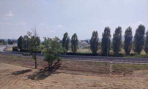 A Govone si progetta un impianto di biogas, il sindaco: "Chiediamo garanzie per ambiente e sicurezza" A Govone si progetta un impianto di biogas, il sindaco: "Chiediamo garanzie per ambiente e sicurezza"