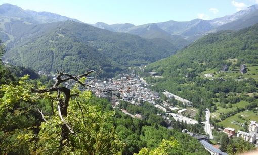 Grazie ai volontari, rifiorisce il sentiero botanico "La Veuva" a Limone Piemonte