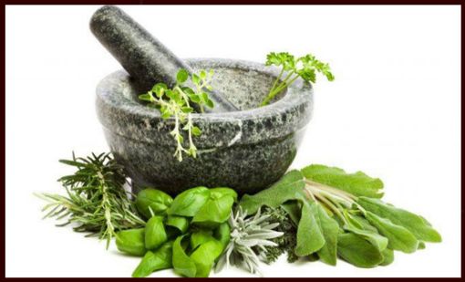 Le virtù delle piante aromatiche 2018