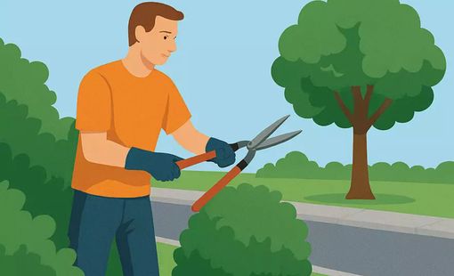 Verde privato che sconfina? Scattano le sanzioni fino a 694 euro