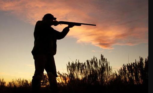 Niente caccia in Piemonte, il Tavolo Animali&amp;Ambiente plaude alla decisione del TAR: "Poca trasparenza dalla Regione"