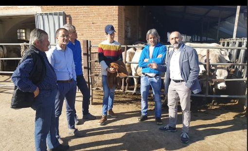 "Piemonte nel cuore" sostiene l'agricoltura ed i margari