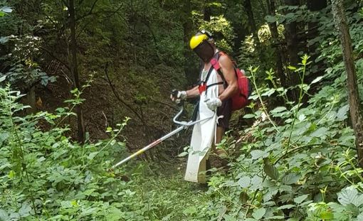 La pulizia del sentiero che collega Paesana ad Agliasco La pulizia del sentiero che collega Paesana ad Agliasco