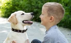 Dogs for Kids: gli amici a quattro zampe contro l'autismo