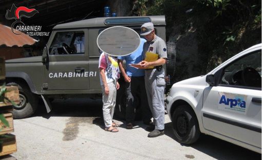 Moria di pesci in un torrente di Roccabruna, colpa dei liquami di un allevamento