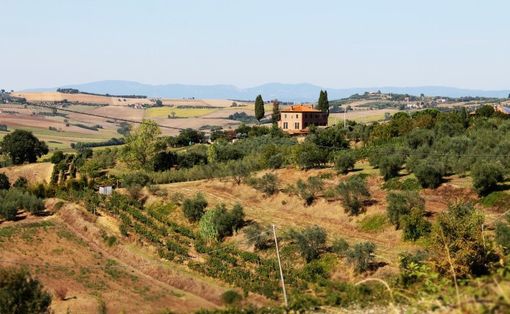 La Coldiretti Cuneo invita a partecipare all'Agritata Open Day 2015 La Coldiretti Cuneo invita a partecipare all'Agritata Open Day 2015