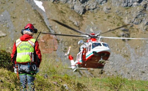 Escursionista francese incornato da una mucca in un rifugio ad Argentera. Interviene l'eliambulanza