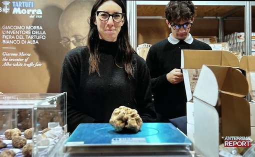 Domenica scorsa la messa in onda della discussa inchiesta di "Report"