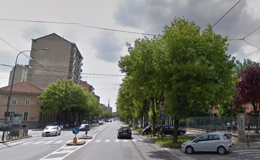 “Troppo asfalto, il Piemonte ha bisogno di verde”: la Regione stanzia 20 milioni per corridoi e boschi verticali