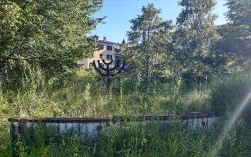 Erba alta attorno alle scuole di Mondovì: Forza Italia parla di "foresta verde dell'incuria" Erba alta attorno alle scuole di Mondovì: Forza Italia parla di "foresta verde dell'incuria"