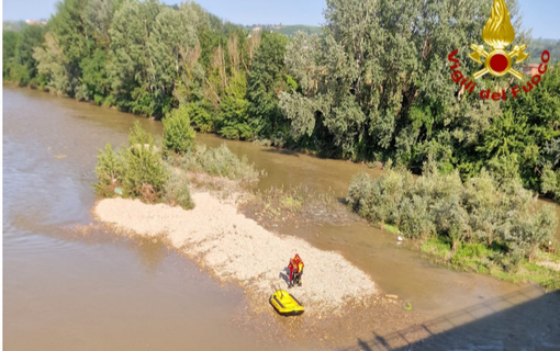 Recuperato dai Vigili del Fuoco un cane caduto nel Tanaro a Cherasco