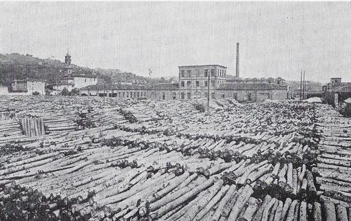 Quando Verzuolo era noto come "Verzuolo hill", una collina di tronchi