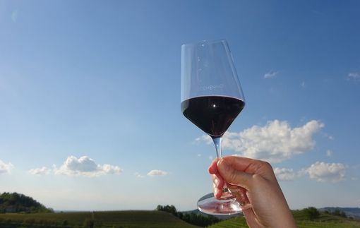 Vino, Coldiretti Piemonte: "Stop follia etichette allarmistiche, pronti a scendere in piazza" Vino, Coldiretti Piemonte: "Stop follia etichette allarmistiche, pronti a scendere in piazza"