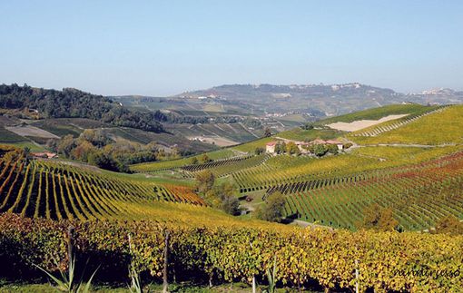 Alba, in frazione S. Rocco Seno d’Elvio si espongono opere di Canestrari e Faccioli