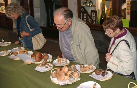 Immagine di repertorio Immagine di repertorio