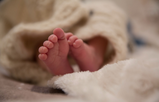 Ceresole d'Alba: una scatolata solidale per il reparto materno infantile di Verduno Ceresole d'Alba: una scatolata solidale per il reparto materno infantile di Verduno