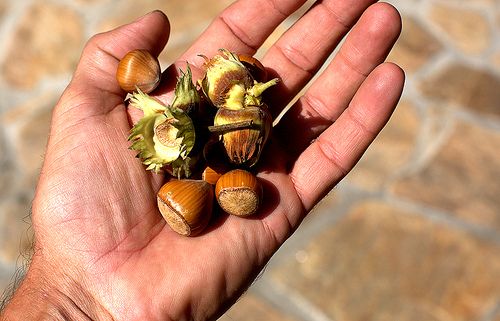 Ecco cosa fare e dove andare in questo fine settimana di ponte dell'Assunta