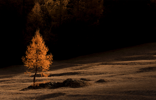 La fotografia di Mattia Sarini