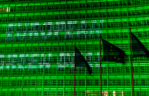 Il sostegno dei cittadini europei all'azione per il clima