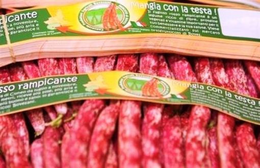 Fagiolo Igp Cuneo, Cia: "Serve un maggior ritorno economico per i produttori"