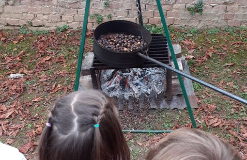 Scuola dell'infanzia di San Michele... al lavoro!