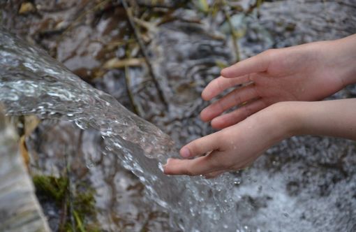 Immagine di repertorio